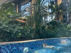 -郑州银基黄帝宫御温泉