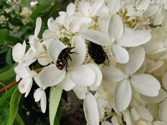 -云峰山自然风景区