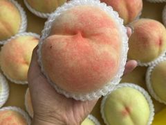 -老袁家蜜桃农场·阳山水蜜桃