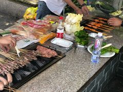 -吴淞炮台湾湿地森林公园烧烤区