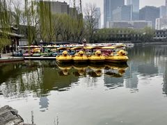 -团结湖公园