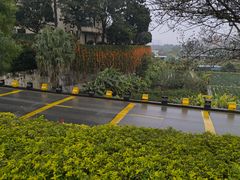 -南国桃园旅游度假区