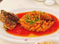 -怡园饭店-餐厅(四望亭店)