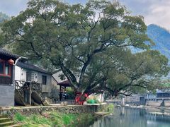 -鹿亭中村
