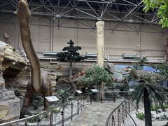 -国家自然博物馆