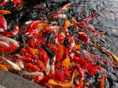 -番禺宾馆丽苑厅