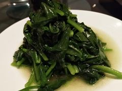 清炒木耳菜-羡餐厅·杭帮菜·淳菜(千岛湖自由洲际殿店)