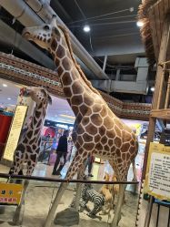 -鲁比猴非洲探索部落(喜盈门店)