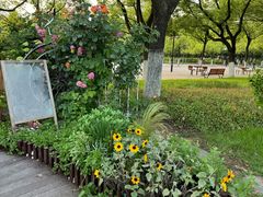 -汉口江滩-五福广场