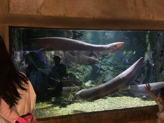 -华夏文旅海洋公园