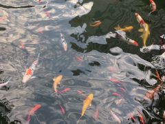 -上海虹桥宾馆(郁锦香品牌酒店)