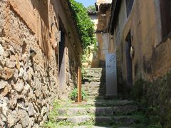 -杨家堂村