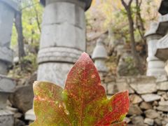 -天津盘山风景名胜区