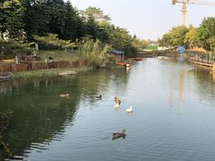 -映月湖公园
