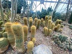 -南山植物园