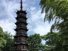 -上海佘山国家森林公园西佘山园