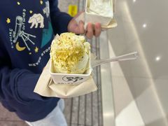 -野人先生现做冰淇淋(北京王府井东方新天地店)