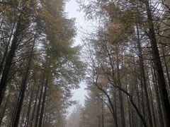 -山王坪喀斯特国家生态公园