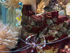 -太平洋海底世界