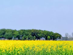 -中国天府农业博览园