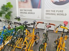-大视光学•LINDBERG林德伯格•全球手工眼镜集合店(王府井店)