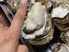 -蚝哥花姐湛江烤生蚝(美丽湾市场店)