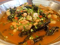 -老号尤兔头(幸福店)