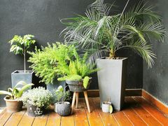 -Willing·Coffee&Brunch&Dinner(万达店)