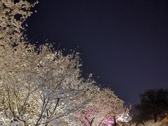 -堤角公园