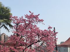 -大宁公园
