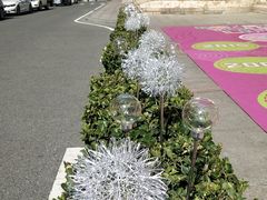 -莫多多餐厅