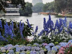 -荔湾湖公园