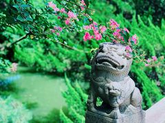 -上海醉白池公园