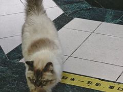 -剧狐剧本杀·月球探案馆(人民广场1号店)