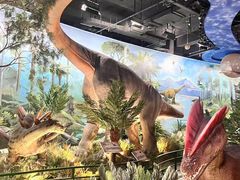 -陕西自然博物馆