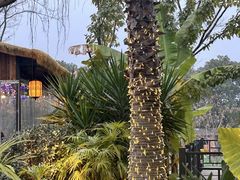 -茅草房·河畔园林火锅