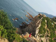 -杨梅坑