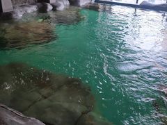 -乐汤汇温泉生活馆