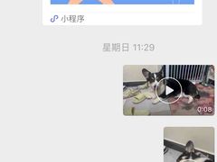-美联众合动物医院·24h京西诊疗中心