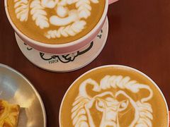 -SAFARI COFFEE