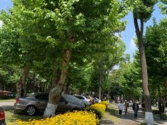 -四川大学(望江校区)