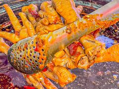 -降龙爪爪(建设路1店)