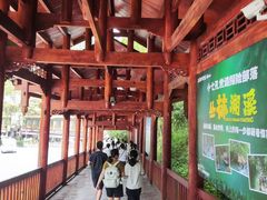 -小七孔景区东门售票处