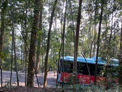 -缙云山景区