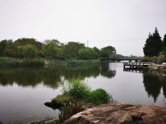 -贡湖湾湿地公园