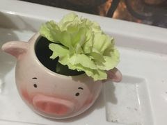 -斯坦星球AI编程·机器人科创·科学实验·信奥·思维·STEM·积木拼搭·竞赛考级(浦东联洋广场大拇指龙阳御桥中心)