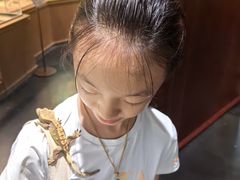 -帕帕拉兹宠物(亚洲旗舰店)