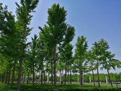 -石家庄市植物园