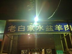 -老白家水盆羊肉