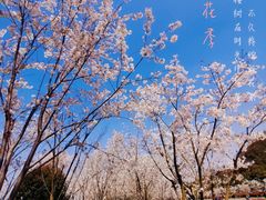 -幕燕滨江·燕子矶公园